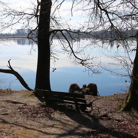 Apartment Vorsee-nest - Urlaub Entspannung Wolpertswende